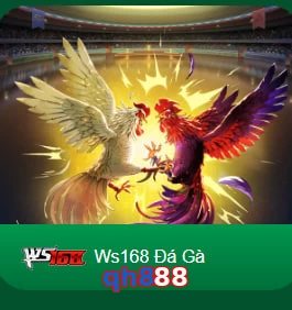 qh888